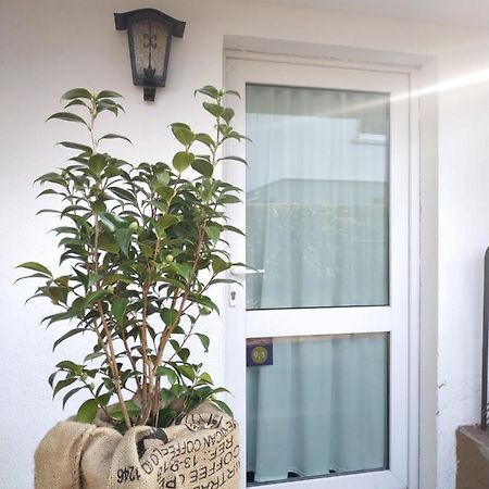 La Malle - La Suite Schiltigheim Exterior foto